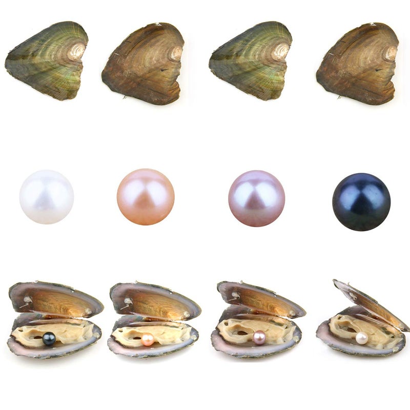 QSLLER 4PCS Freshwater Cultured Pearl Oyster with Round Pearls Inside 4 Colors (6.5-7.5mm) Jewelry Making or Birthday Gifts - Image 1
